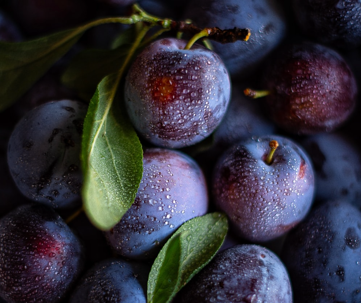 plum beauty oil, plum face oil, organic plum face oil, plum beauty oil