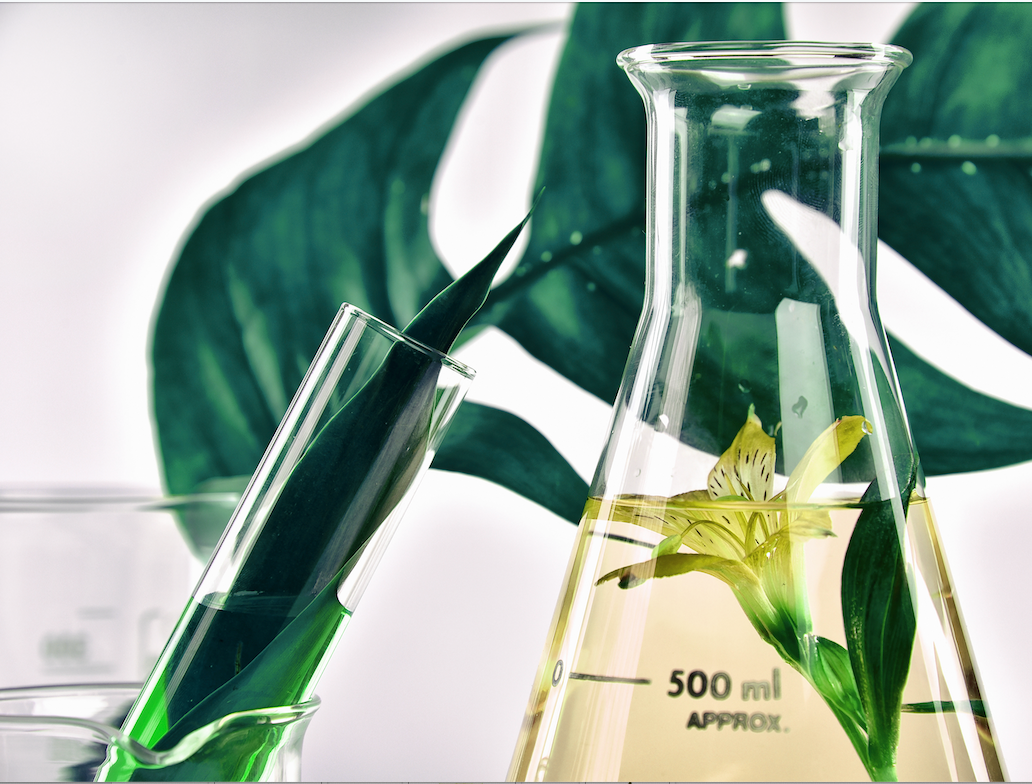 Why Organic Skincare Is More Than a Trend: The Science Behind Clean Beauty