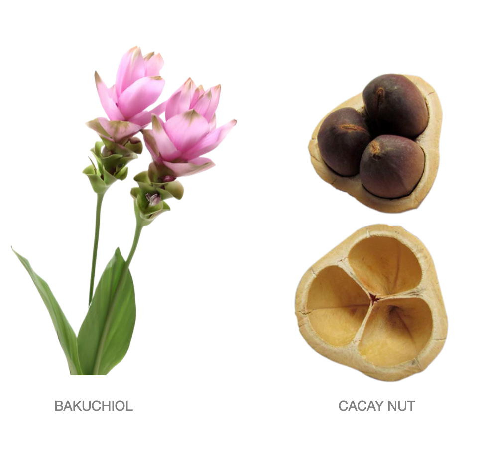 grow kits plants Pollinator Flower Grow Kit