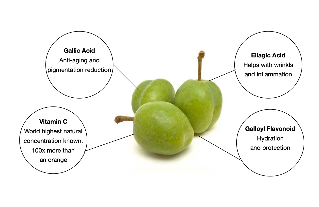 kakadu plum skin benefits
