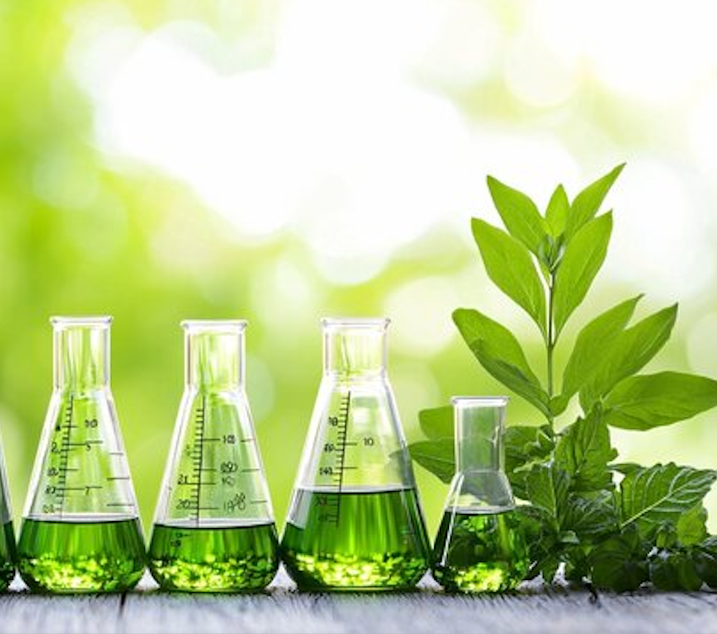 Is Natural Skincare Better for You? A Closer Look at the Facts