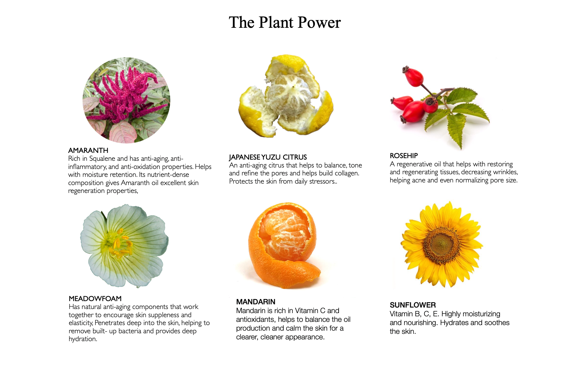 Organic facial cleansing oil, face cleansing oil, yuzu face cleanser, yuzu met away face cleansing oil