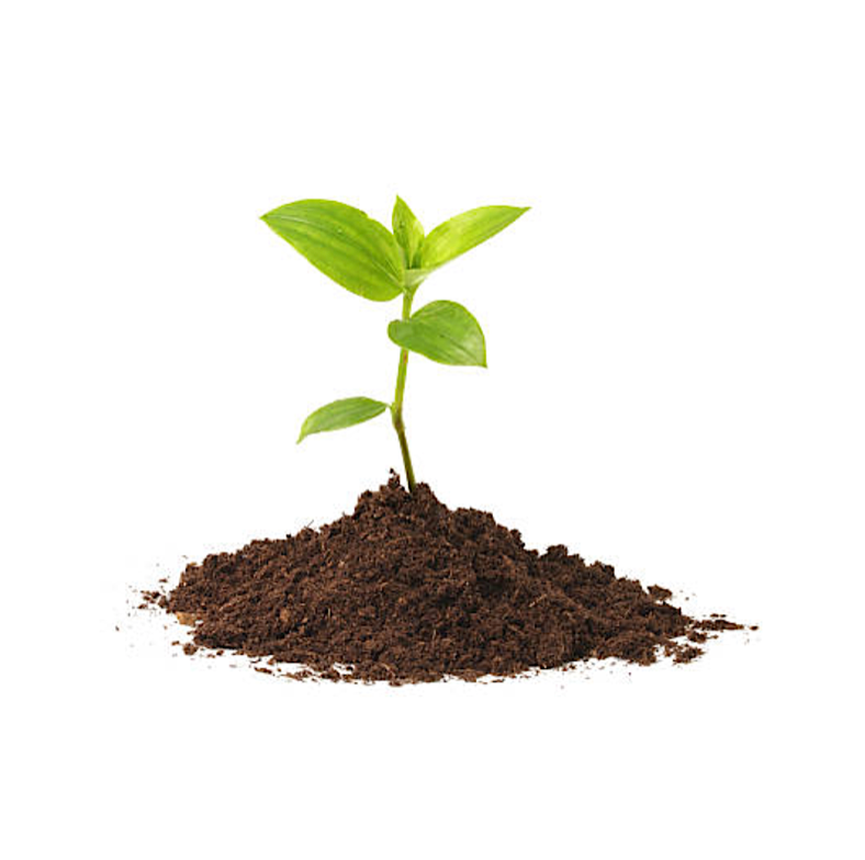 Plant science is real science