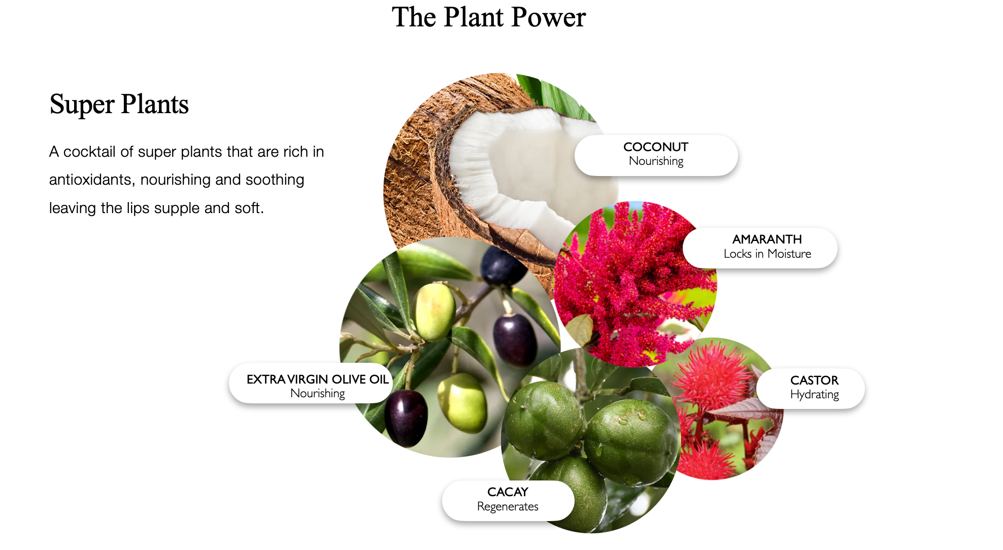 kyomi skin vegan lip balm, natural lip balm, the best lip balm