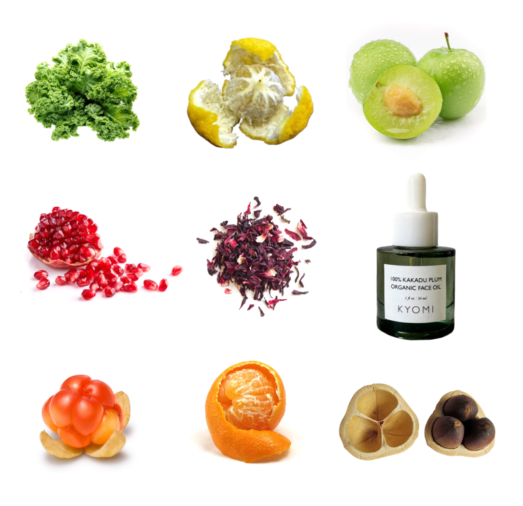 Plant based skincare log. vegan skincare