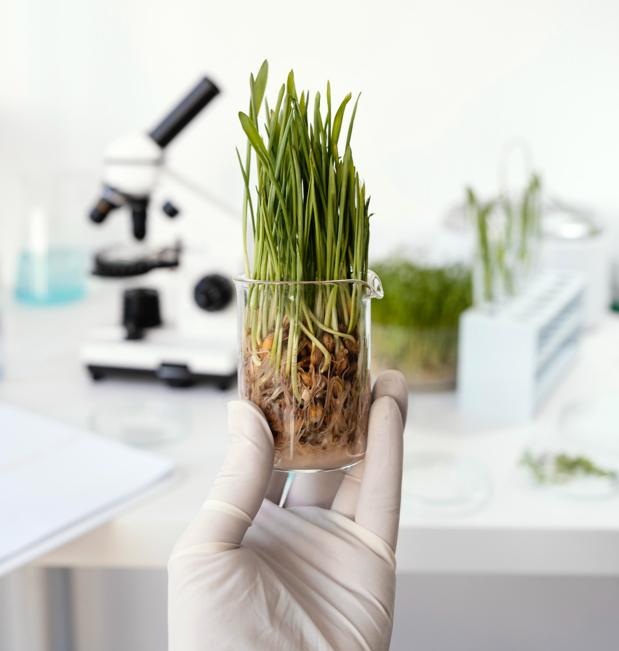Top 10 Natural Ingredients Dermatologists Recommend for Glowing Skin