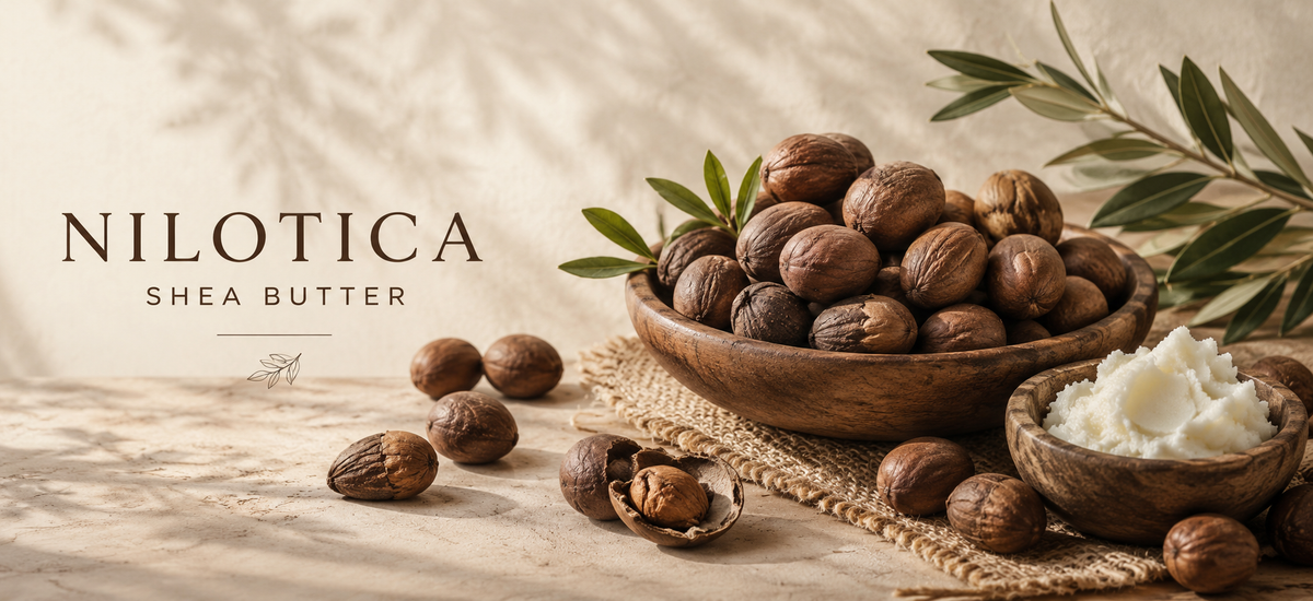 Nilotica shea butter