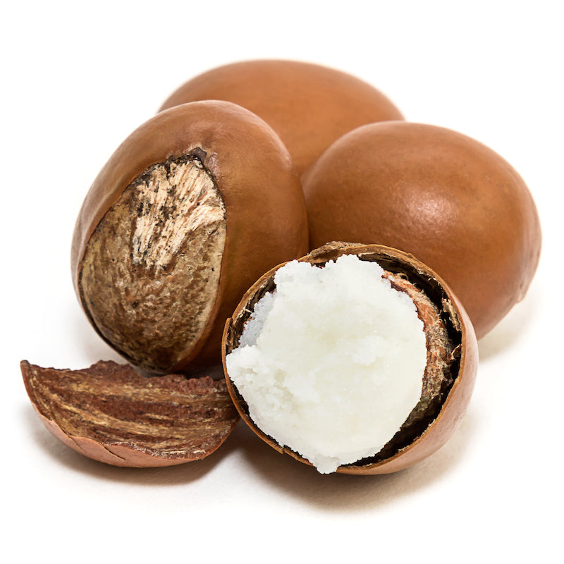 Nilotica shea butter