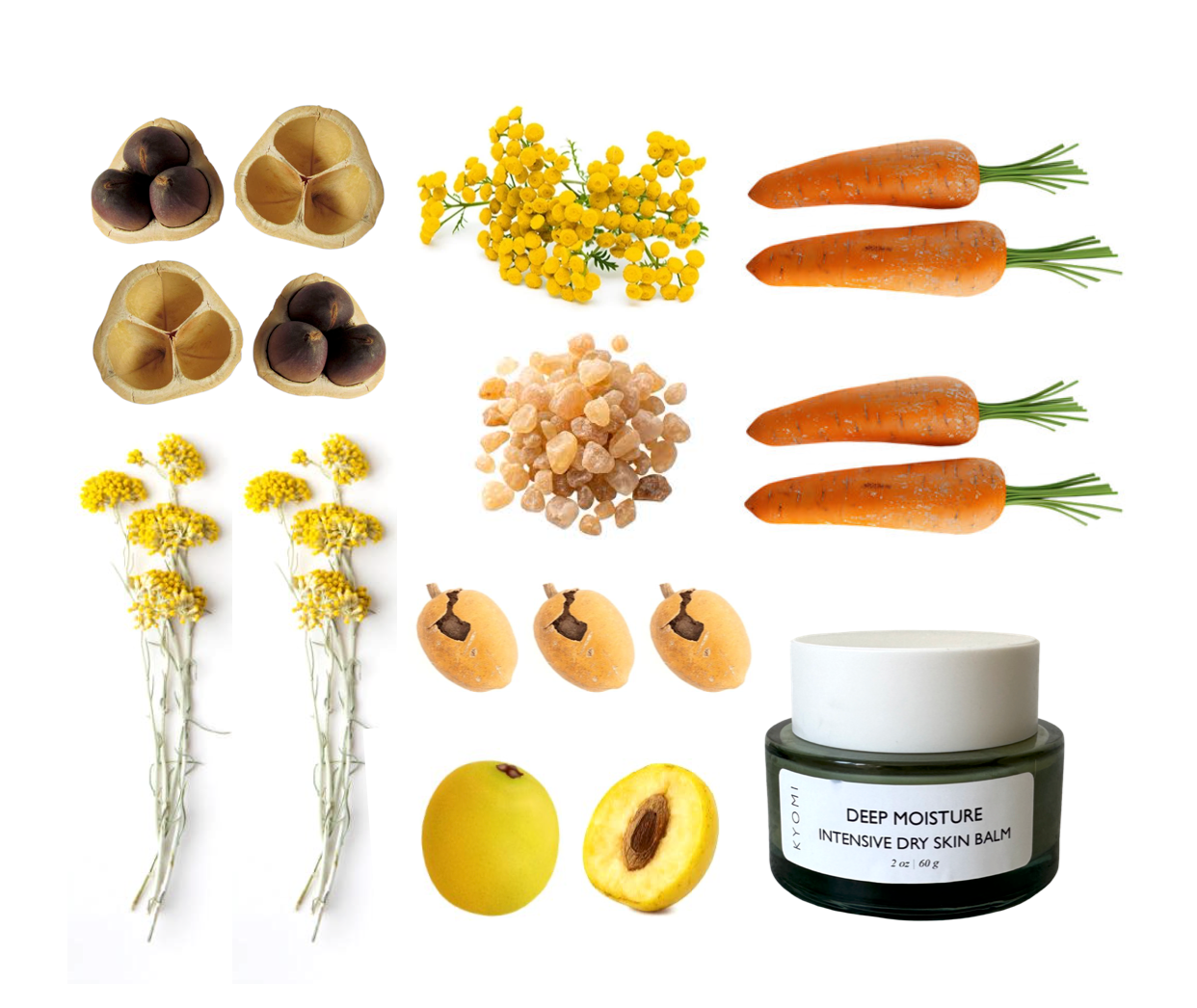 Cosmetic balm with natural ingredients like carrots, flowers, and fruits on a white background