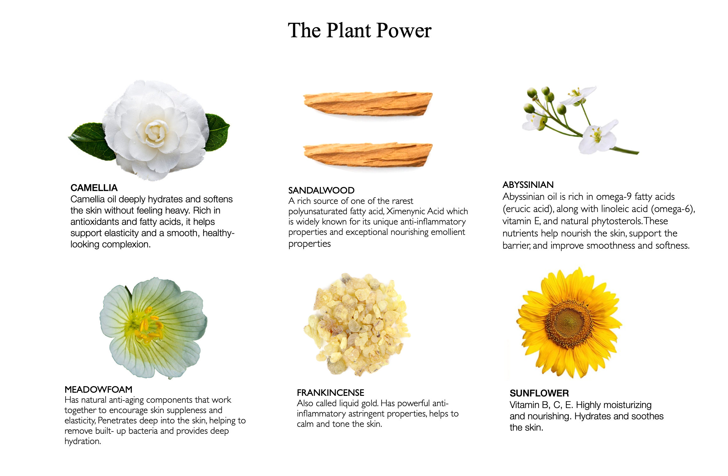 melt away ritual cleansing oil