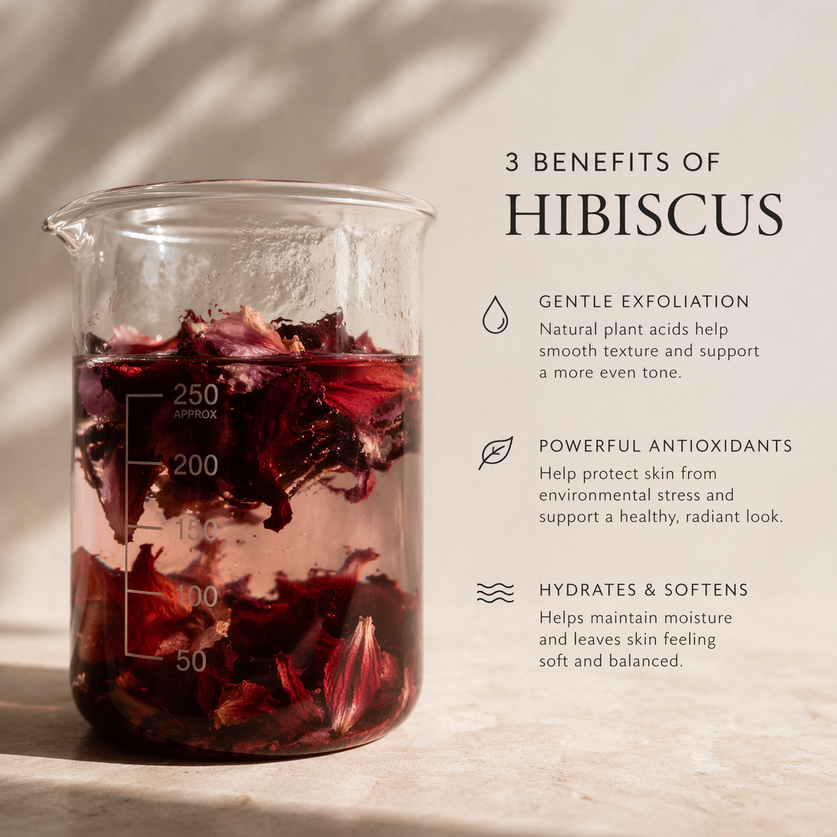 Glass beaker with hibiscus flowers and text about the benefits of hibiscus on a neutral background