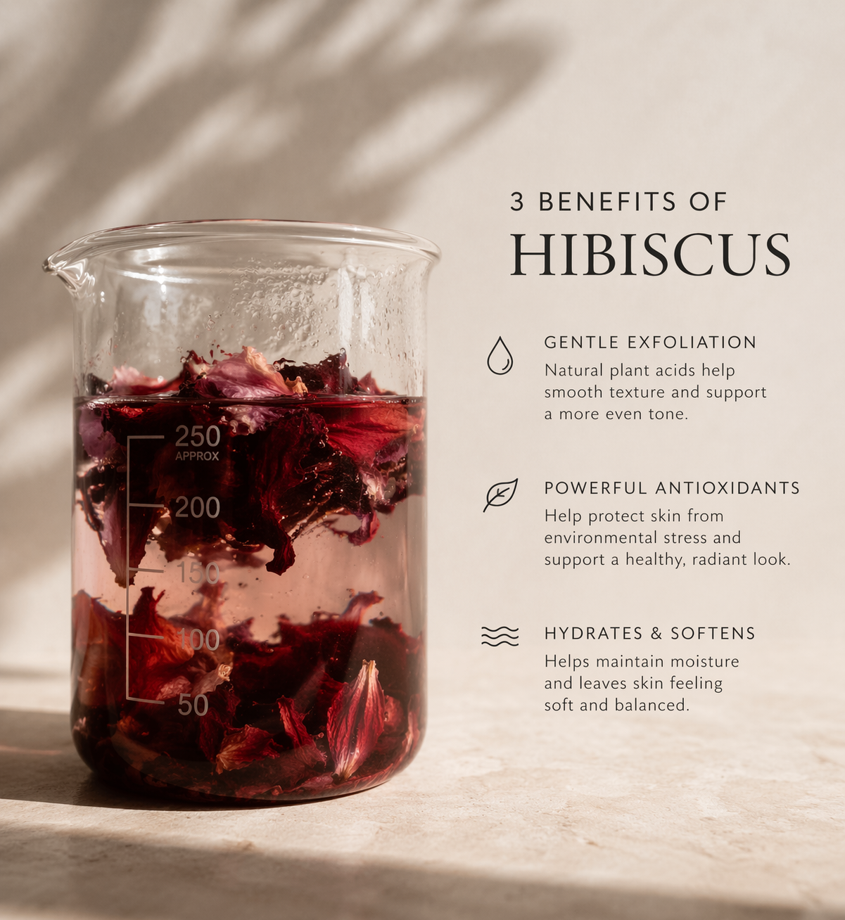 Glass beaker with hibiscus flowers and text about the benefits of hibiscus on a neutral background