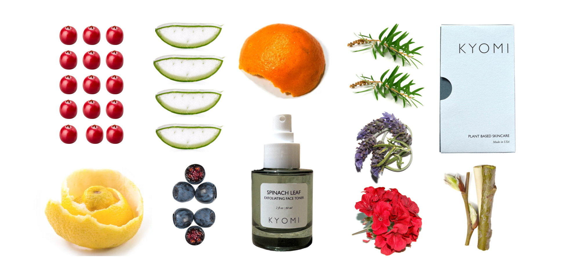 Spinach Leaf Face Toner - Gentle Exfoliating natural toners